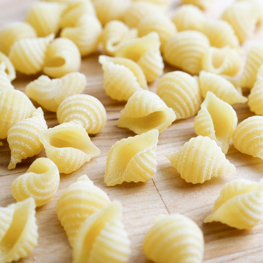 Conchigliette Pasta shape